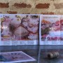 FESTA DI FINE ANNO A DUSINO SAN MICHELE