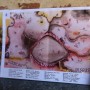 FESTA DI FINE ANNO A DUSINO SAN MICHELE