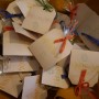 festa di PRIMAVERA a TORINO.