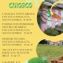 ORTI GENERALI: IL CHIOSCO